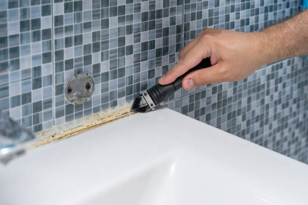 Trusted Thorndale, TX Mold Removal Experts