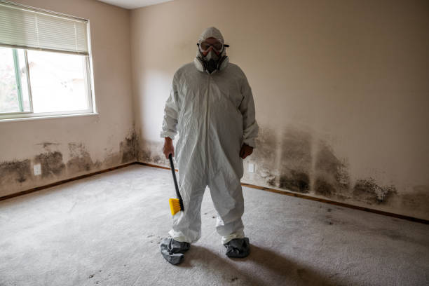 Best Home Mold Removal  in Thorndale, TX